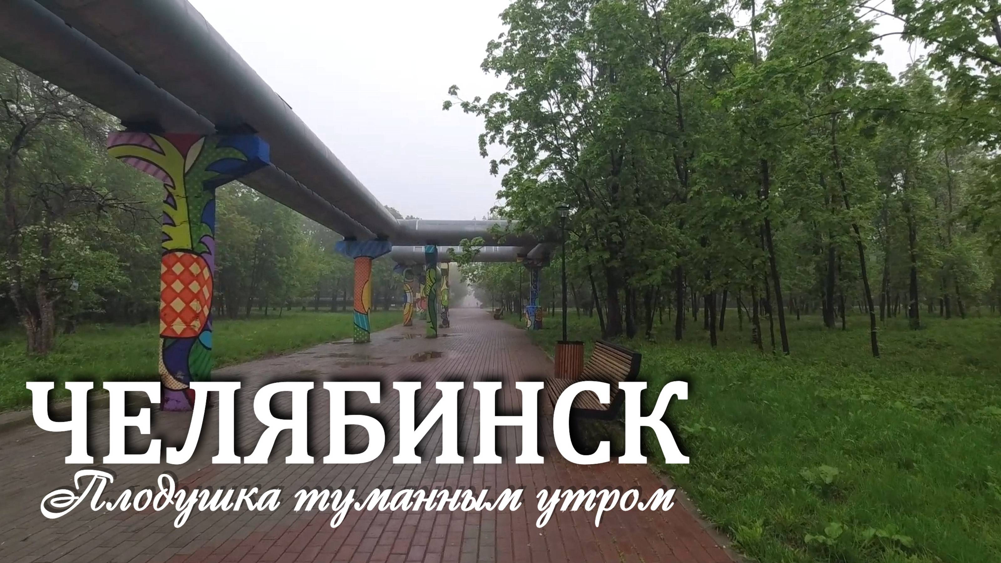Челябинск. Туманная Плодушка рано утром (15.05.25) смотреть онлайн