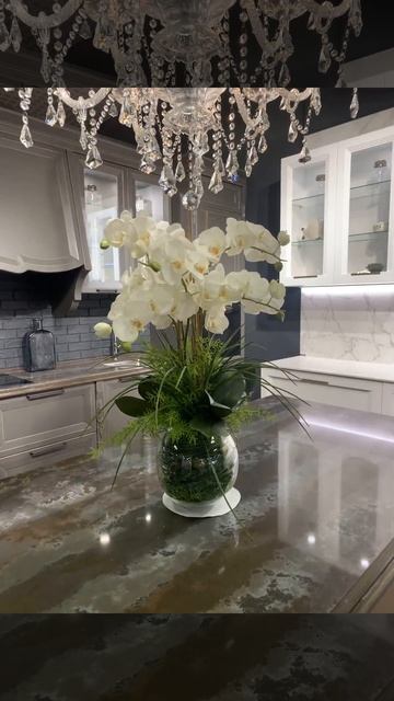 Королевские орхидеи в кашпо. смотреть онлайн