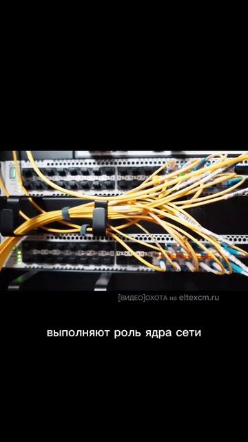Коммутатор ЦОД MES5400-48 Eltex. Видео[Охота] на eltexcm.ru