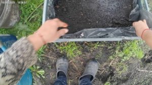 Сею редис в ящик.