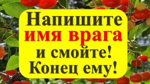 Напишите имя врага на туалетной бумаге и смойте в унитазе! Верните всё зло назад. Деньги придут