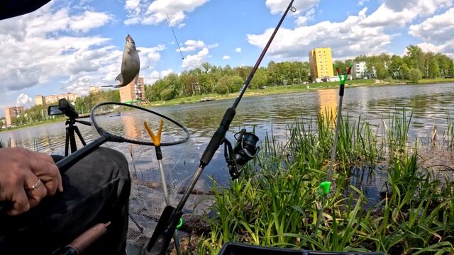 Сколько рыбы можно поймать за час на этом месте? смотреть онлайн