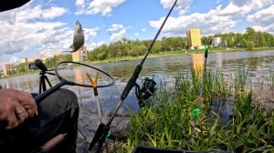 Сколько рыбы можно поймать за час на этом месте?