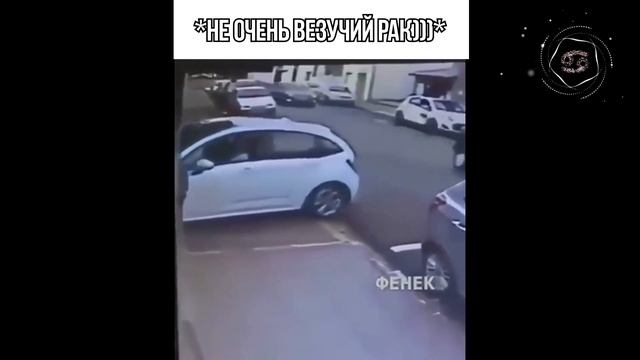 Знаки зодиака в мемах(гороскоп) / АСТРОЛОГИЯ В МЕМАХ смотреть онлайн