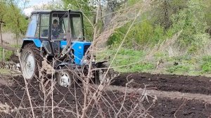 Весенняя вспашка огорода под картофель на тракторе МТЗ 82.1