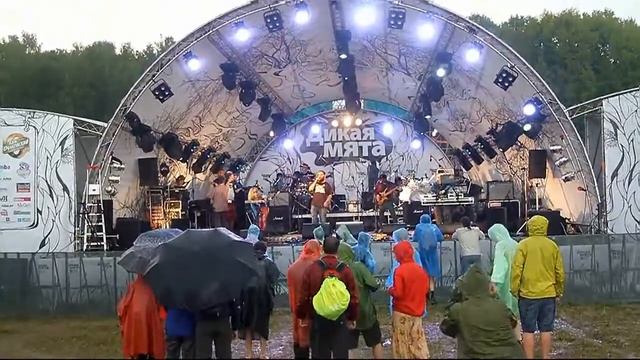 МС Панда на Дикой Мяте 2013 смотреть онлайн