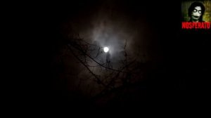 Хрыч. Страшные истории на ночь 🫣🫣🫣