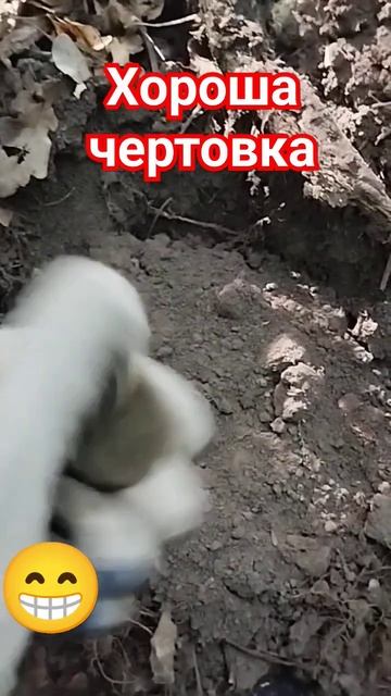 Царёк. Коп Поиск Монет. #shorts #коп #монеты #металлоискате смотреть онлайн