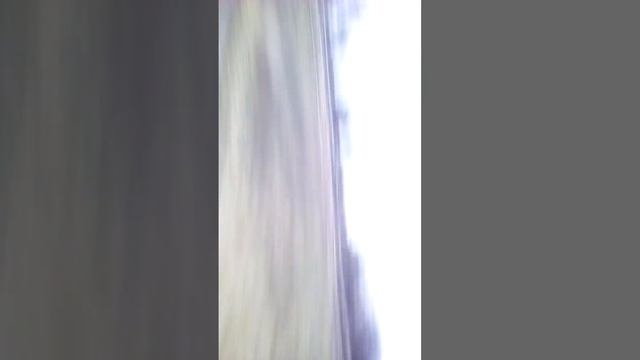 Прикол с козой смотреть онлайн