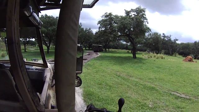 Kilimanjaro Safarys парк Animal Kingdom смотреть онлайн