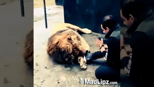 Казакша прикол #2 смотреть онлайн