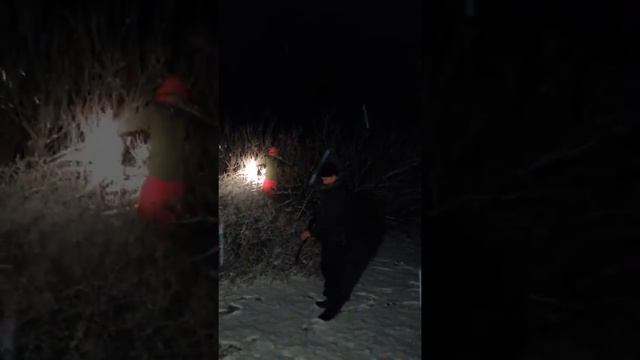 Ловля зайца руками... смотреть онлайн