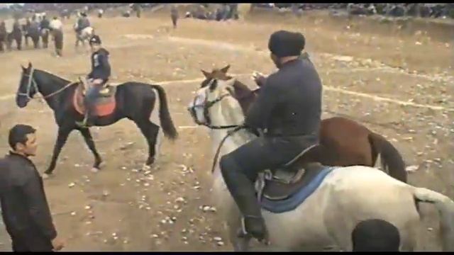 СУРАТДАГИ ПОЛВОН КУЛАДИ смотреть онлайн