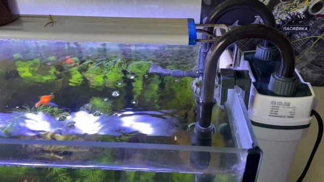 Немного информации