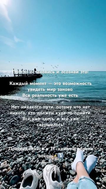 ВСЕ УЖЕ ЕСТЬ✨Присоединяйся в ТГ канал - обрети ясност? смотреть онлайн