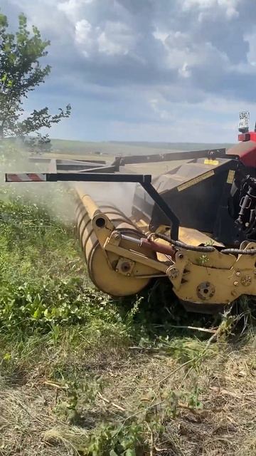 Мульчер в деле #сельхозник #agriculture #блогер #фермер #cropprod смотреть онлайн