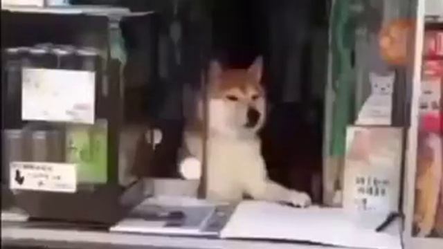 Хватит бухать иди на завод... смотреть онлайн