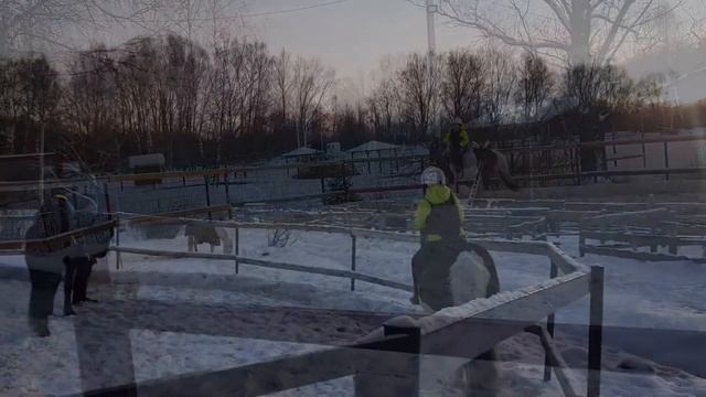 Люблю скакать