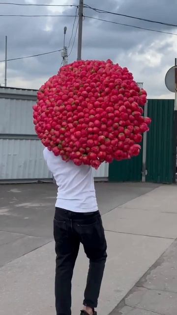 #Пионы #коралл #coral #flowers #pink #trend#show #$ #world #dollar #evro смотреть онлайн