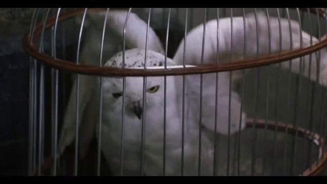 Гарри Поттер и тайная комната | [Переозвучка] #переозвучка #прикол #юмор #угар смотреть онлайн