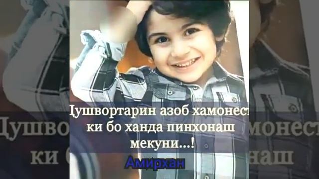 Диламро зери по карди//Бехтарин суруди точики 🌼🌱