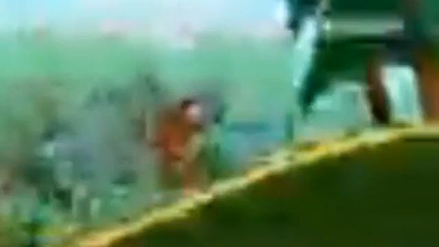 Видео прикол без смс и регестрации смотреть онлайн