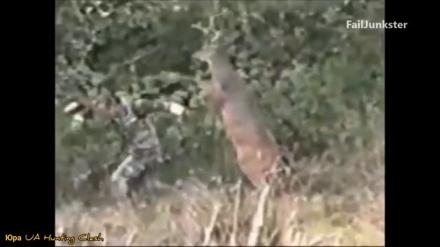 Горе охотники #5 / Юмор Приколы на охоте / Интересные случаи на охоте / Hunting funny #5 смотреть онлайн