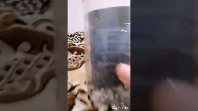 Прикол Артёма на канале Артём. н. смотреть онлайн