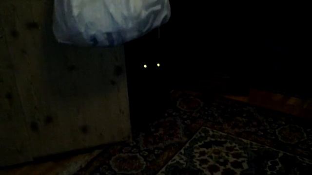 Очень ржачный прикол ))) маленький шпиц