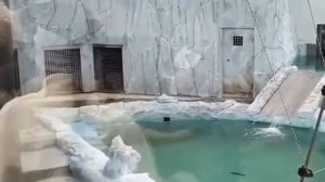 Удачная рыбалка Хатанги...Екатеринбургский зоопарк..Kha