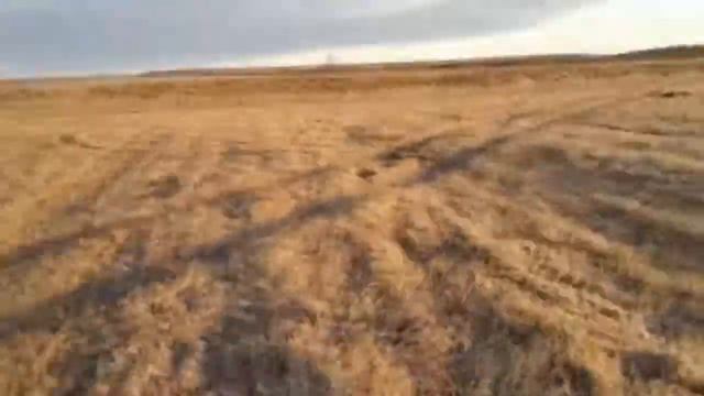 Интересные случаи на охоте 2 смотреть онлайн