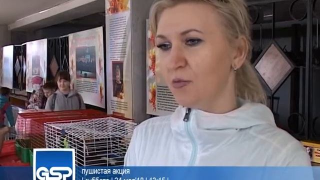 пушистая акция | 24 мая'18 | 13:15 |