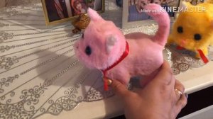 Котятки и перчатки