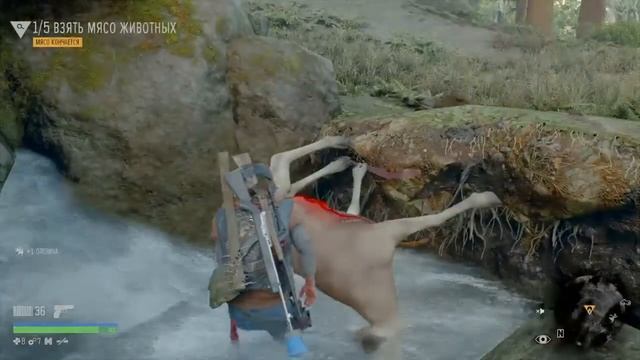ЗАБАГОВАННЫЙ ОЛЕНЬ В DAYS GONE | ЖИЗНЬ ПОСЛЕ | БАГИ ПРИКОЛЫ ФЕЙЛЫ смотреть онлайн