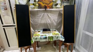 Магнитопланарная акустика Magnepan MMG. Доступный Hi-End. Видео 2 из 2.