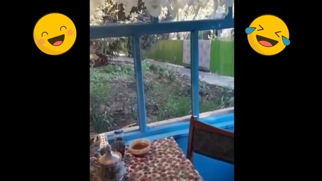 Самые смешные приколы с детьми! смотреть онлайн