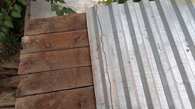 Сарай зарабатывает на свой вывоз сам. смотреть онлайн