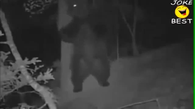 смешное видео смотреть онлайн