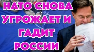 НАТО снова угрожает и гадит России