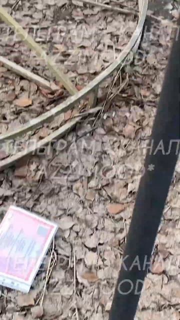 Прямо у ЗАГСА г. Якутска одиноко лежит свидельство о з? смотреть онлайн