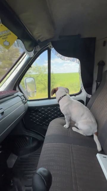 Шарик едет на заказ 4м3 песка г. Курск 89192734046 смотреть онлайн