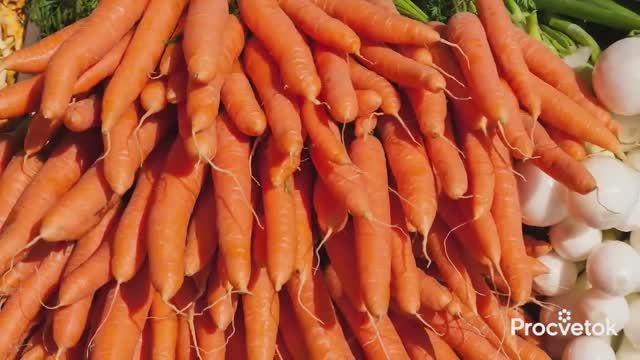 5 НЕЛЬЗЯ ПРИ ВЫРАЩИВАНИИ МОРКОВИ! Вот почему морковь растёт кривой, мелкой и червивой