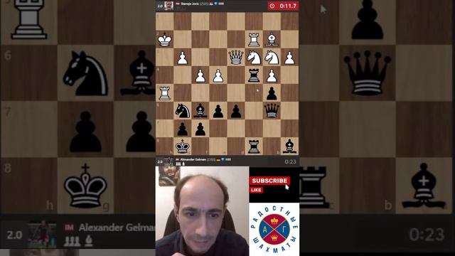 ШУРИК, ТЫ ВООБЩЕ ОСЛЕП! // ШУРА ГЕЛЬМАН #chess #шахматы #twitch #viralvideo смотреть онлайн