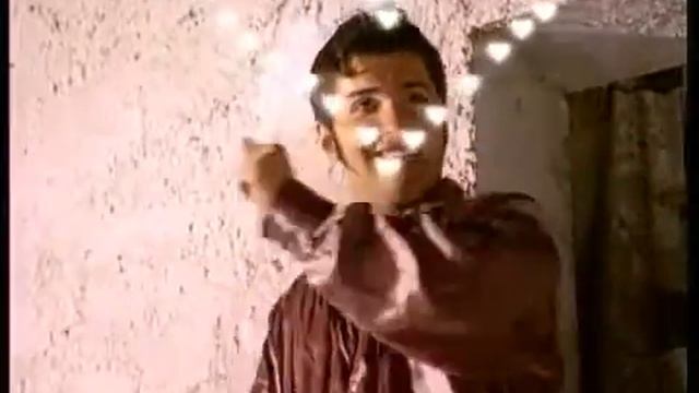 Божья коровка Серенада Ladybird  Serenade