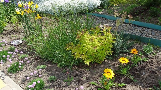 Мои цветочные новинки. смотреть онлайн