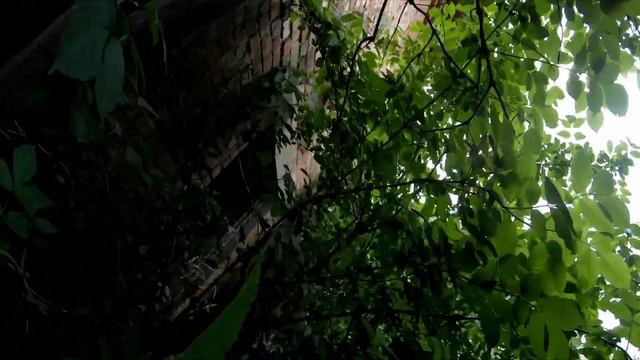 Полигон Крест село Александровское 26.05.24/Airsoft Stavropol