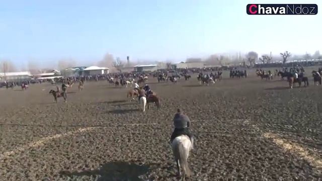 05 02 2017 ЙИЛГА БЎЛГАН смотреть онлайн