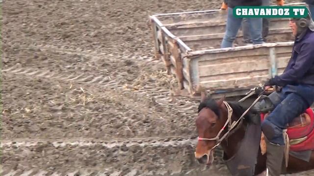 04 01 2020 УРОКБОЙЖАР СУЮНБОЙ РАХМОНОВ смотреть онлайн