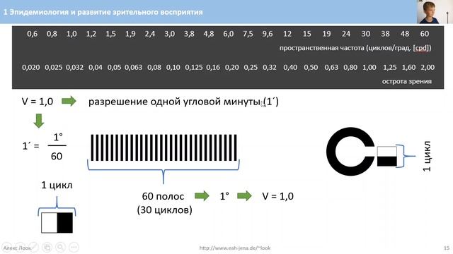 1 Эпидемиология и развитие зрительного восприятия смотреть онлайн