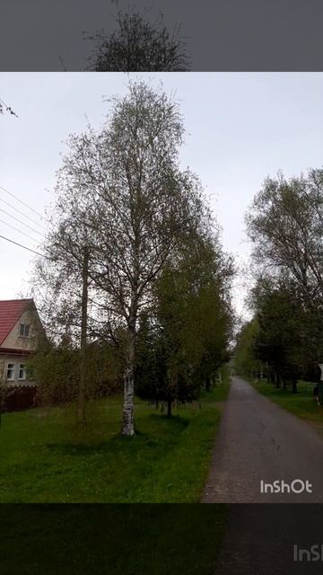 Дождливая погода.mp4 смотреть онлайн